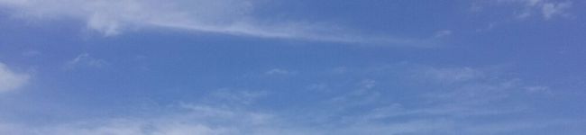 Brief♡dish's header image