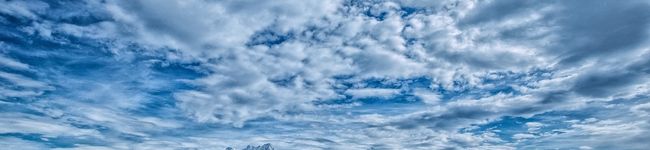 shortcake's header image
