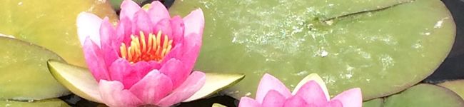 Keomy's header image