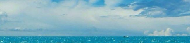 RNTアカリ's header image