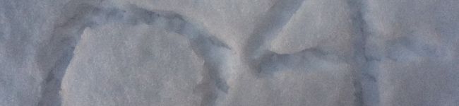 なぎさ✩64's header image