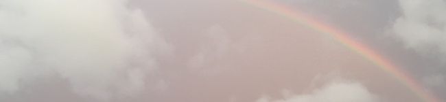 みぽりぃぬ's header image