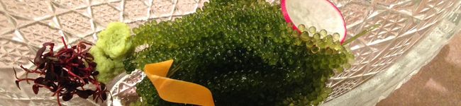 inutero's header image