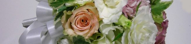 kazutanchi-tan's header image