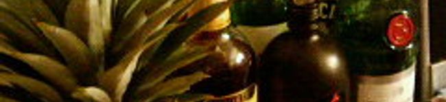 kamala's header image