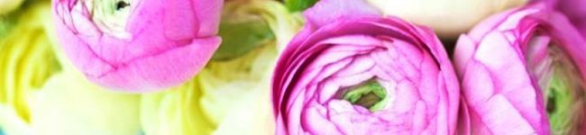 MICOMICO☆'s header image