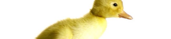 junchan888's header image