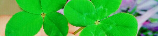 なーたむ☆♥︎'s header image