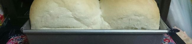 クックI3A5MI☆'s header image