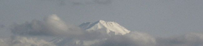 ハピスタ's header image