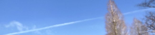 Aromaねね♡'s header image
