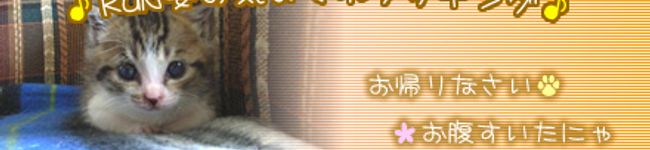RUN婆's header image