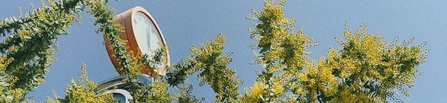 m__kitchen's header image