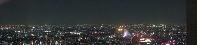 あゆパピ's header image