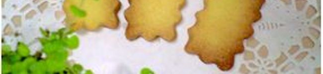 クッカさん's header image