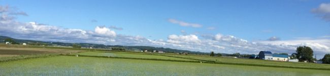 sopokukka's header image