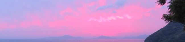 小ぐまさん's header image