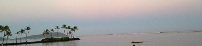 sakiko_ss's header image