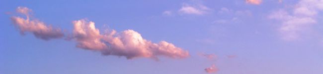 がらがらぐま's header image