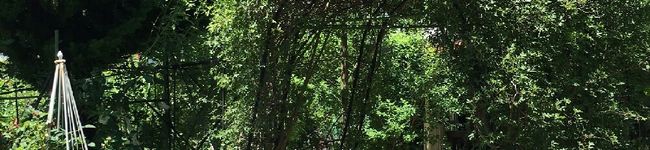 ままはなまま's header image