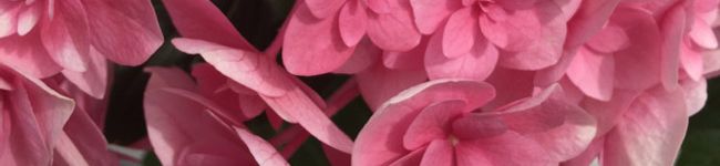 rw1123's header image