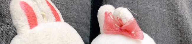 うさぎこにー's header image