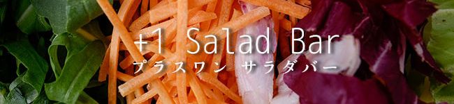 ＋１サラダバー's header image