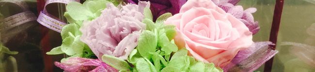 優★cook's header image