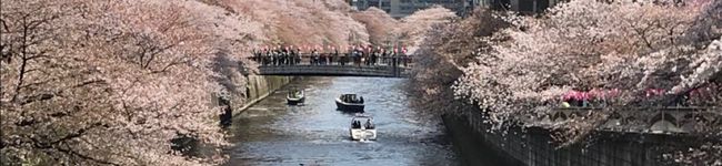 颯214's header image