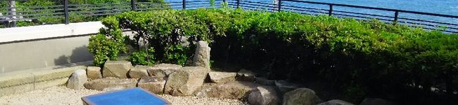 俺☆猫's header image
