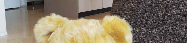 naobaebie's header image