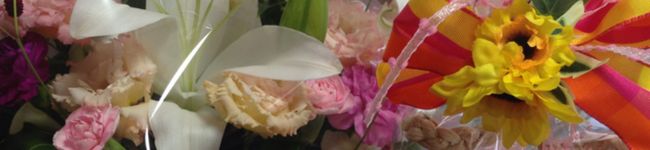popokko123's header image