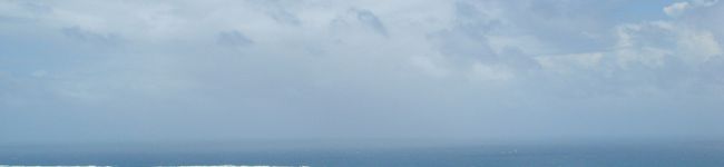 nozomikoko's header image