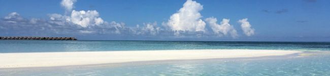 平野マミ's header image