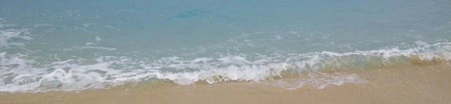 Hauoliキッチン's header image