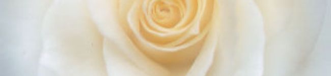 EMINCOBUCCI's header image