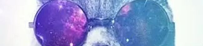 ＊Ｈａｎａ＊＊'s header image