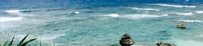 ♩やっさん♩'s header image
