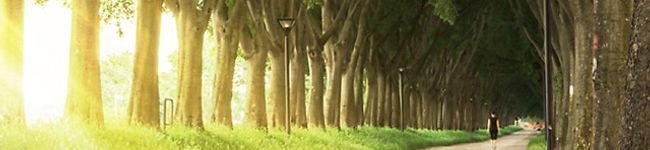 クック5AQOX8☆'s header image
