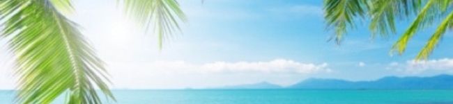 ＊・Hitomi・＊'s header image