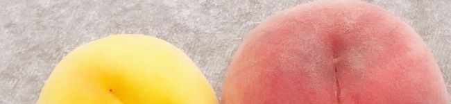 emy_はるひママ's header image