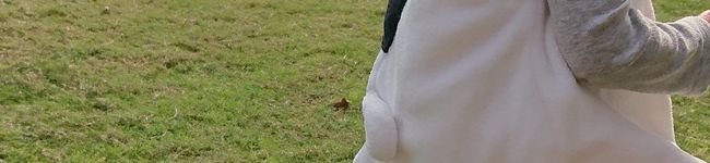 kbcごはんのきろく's header image