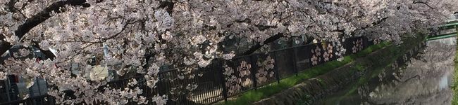 wtnb☆mh's header image