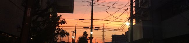 マヨしー's header image