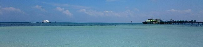 chachaaa♪'s header image