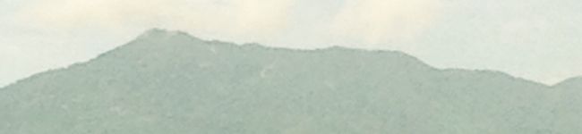 FUMIKO0505's header image