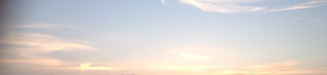 ちゃぁーいん's header image