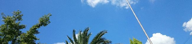 tkksh58's header image