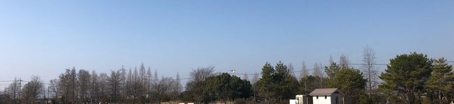 カミさん228's header image