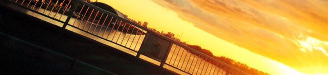 nana0417's header image